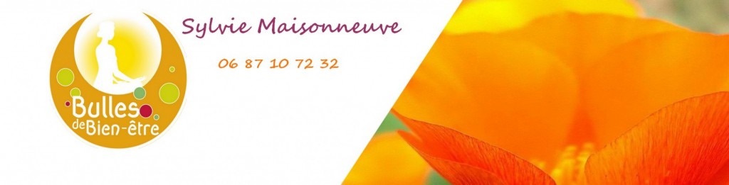 cropped-0site-en-tête-Fond-fleurs-2000x480-logo-2.jpg