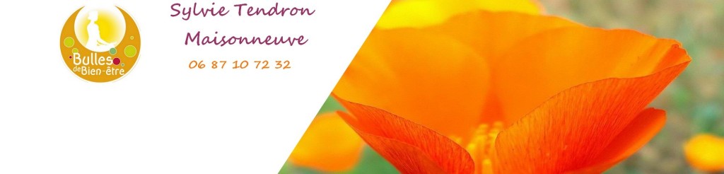 cropped-0site-en-tête-Fond-fleurs-2000x480-logo-Tendron-1-3.jpg